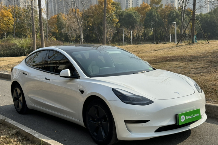 特斯拉 Model 3 2021款 改款 标准续航后驱升级版 3D1车身外观6006