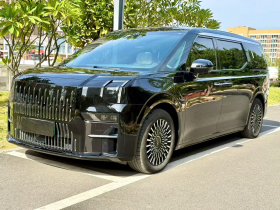 极氪009 2022款 WE版