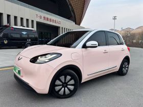 五菱汽车 五菱缤果 2023款 410km 灵犀尊享款