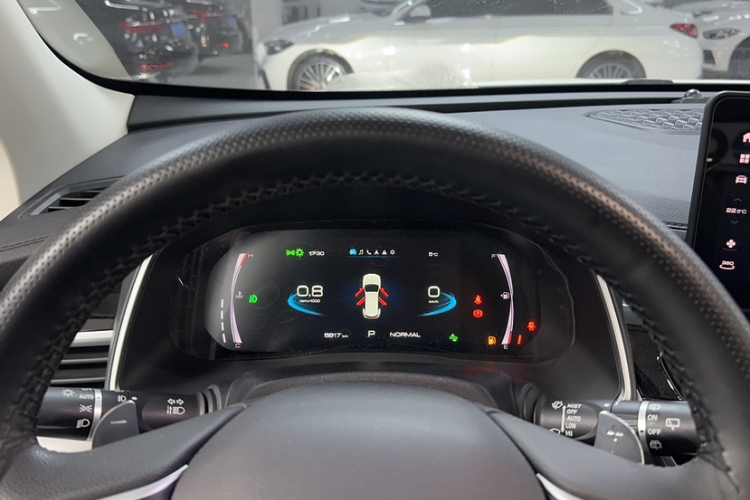 哈弗H6 2023款 国潮版 1.5T 自动冠军版局部细节14