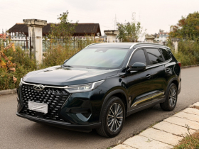 奇瑞 瑞虎8 PRO 2024款 冠军版 290T 两驱闪耀版 5座