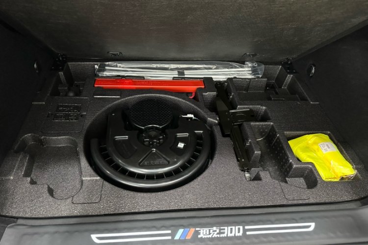 坦克300 2023款 2.0T 铁骑02车身外观6008