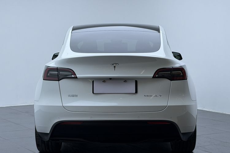 特斯拉 Model Y 2022款 后轮驱动版车身外观6003