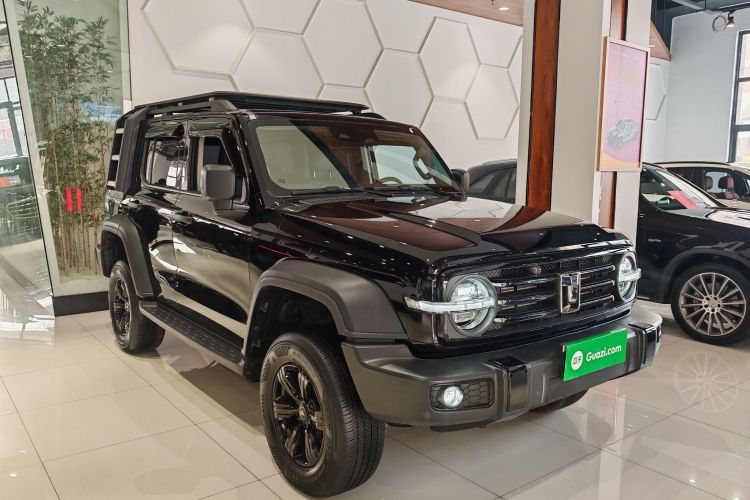 坦克300 2024款 2.0T 征服者车身外观6002