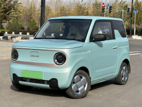 吉利银河 2023款 熊猫mini 120km 超萌熊