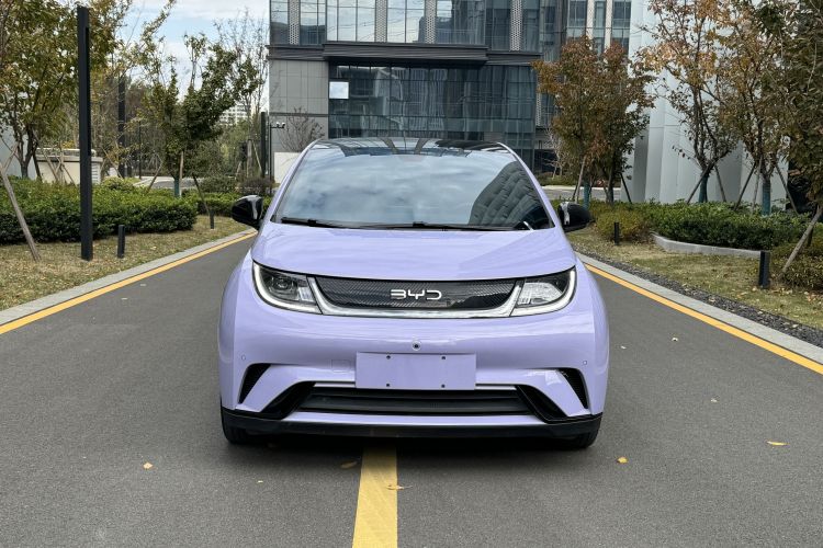 比亚迪 海豚 2024款 荣耀版 420km 时尚版车身外观6006