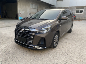 别克GL8 2021款 陆上公务舱 652T 豪华型