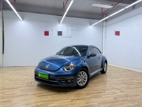 大众 甲壳虫 2017款 180TSI 宜乐版