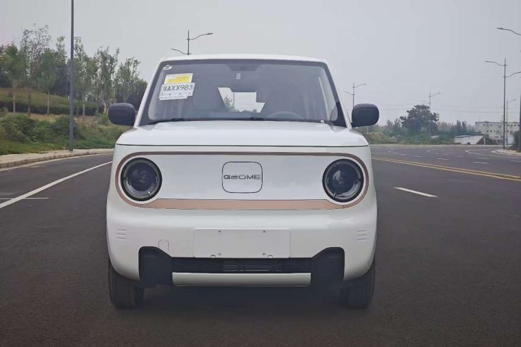 吉利银河 2024款 熊猫mini 200km 耐力熊车身外观6001