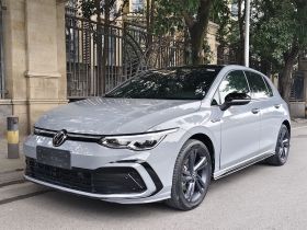 大众 高尔夫 2021款 280TSI DSG R-Line