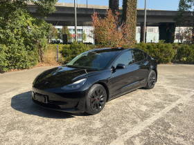 特斯拉 Model 3 2021款 标准续航后驱升级版 3D6