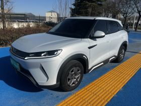 比亚迪 元UP 2024款  401KM 活力版