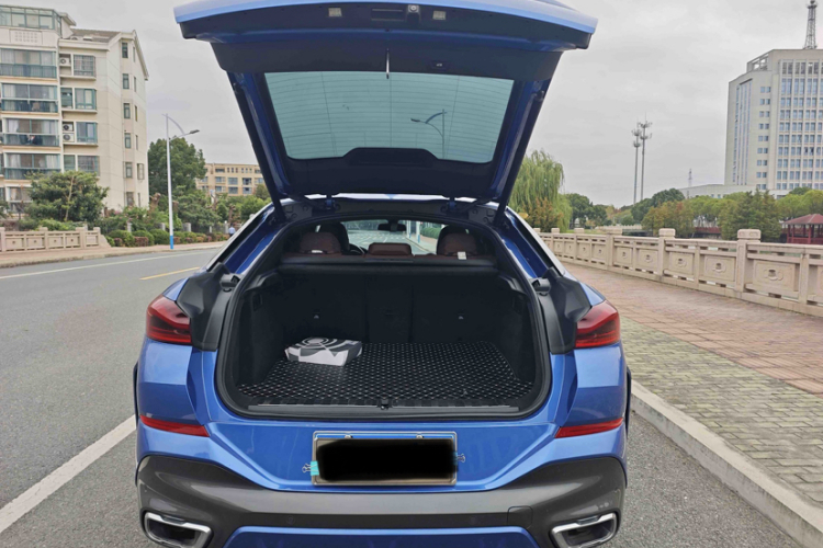 宝马X6 2020款 xDrive30i M运动套装局部细节23