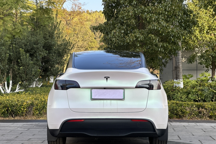 特斯拉 Model Y 2023款 长续航全轮驱动版车身外观6008