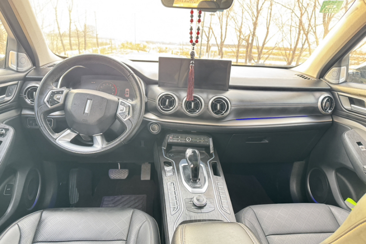 魏牌 VV6 2020款 2.0T 两驱智享+局部细节9003