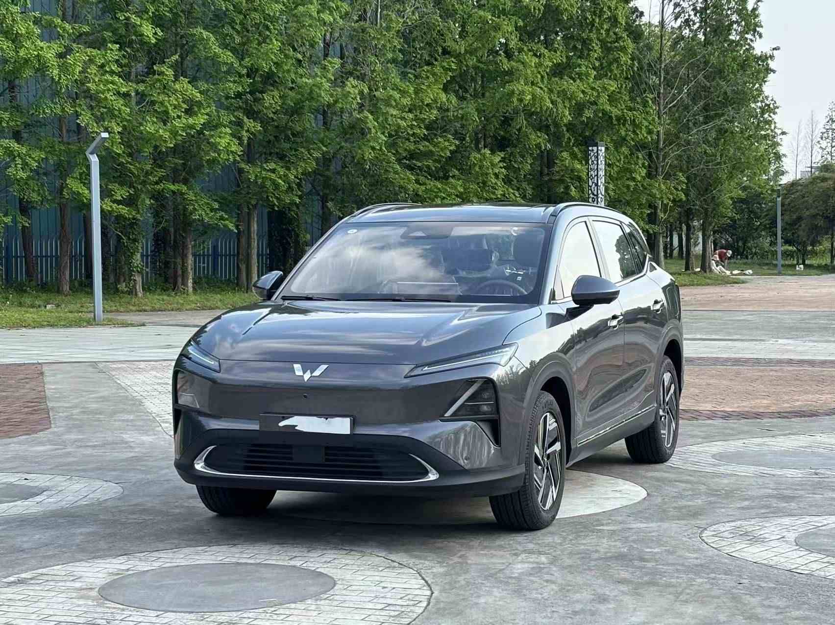 五菱汽车 五菱星光S 2024款 130km 旗舰型(1)