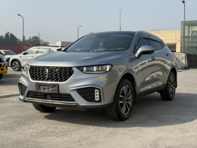 魏牌 VV5 2020款 1.5T 两驱智先锋