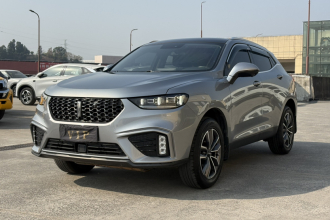 魏牌 VV5 2020款 1.5T 两驱智先锋