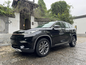 星途TX 2021款 超能四驱版 1.6T 四驱超能2号