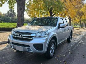 长城 风骏5 2023款 干饭版 1.5T 汽油两驱进取型大双