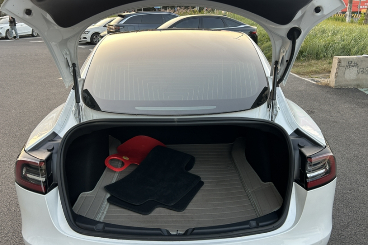 特斯拉 Model 3(进口) 2019款 长续航后驱版局部细节23