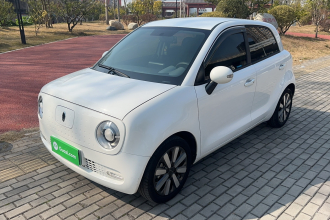 欧拉黑猫 2021款 351km 标准型