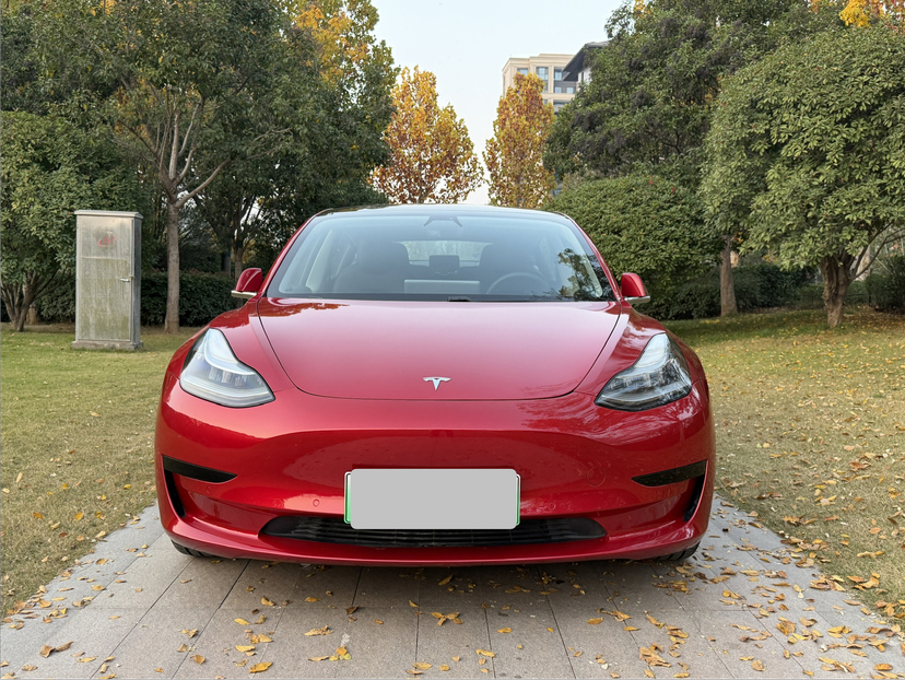 特斯拉 Model 3 2020款 改款 标准续航后驱升级版