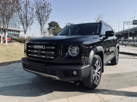 哈弗大狗 2021款 1.5T DCT两驱边牧版