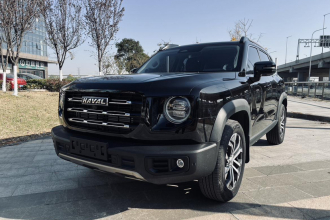 哈弗大狗 2021款 1.5T DCT两驱边牧版