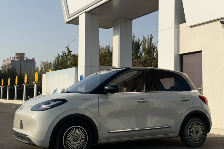 五菱汽车 五菱缤果 2023款 333km 灵犀互联款车身外观6002