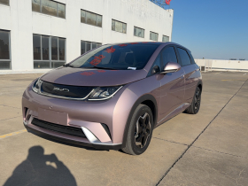 比亚迪 海豚 2021款 405km 时尚版