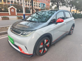 比亚迪 海豚 2021款 401km 骑士版