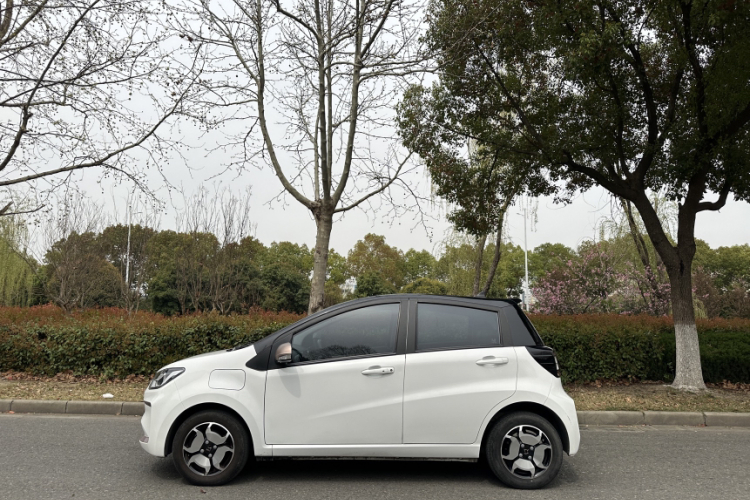 思皓 花仙子 2021款 集美版 302km 时尚型车身外观6004