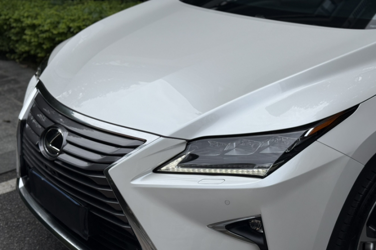 雷克萨斯RX 2016款 300 四驱典雅版 国V车身外观6006