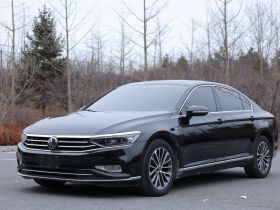 大众 迈腾 2020款 380TSI DSG 豪华型