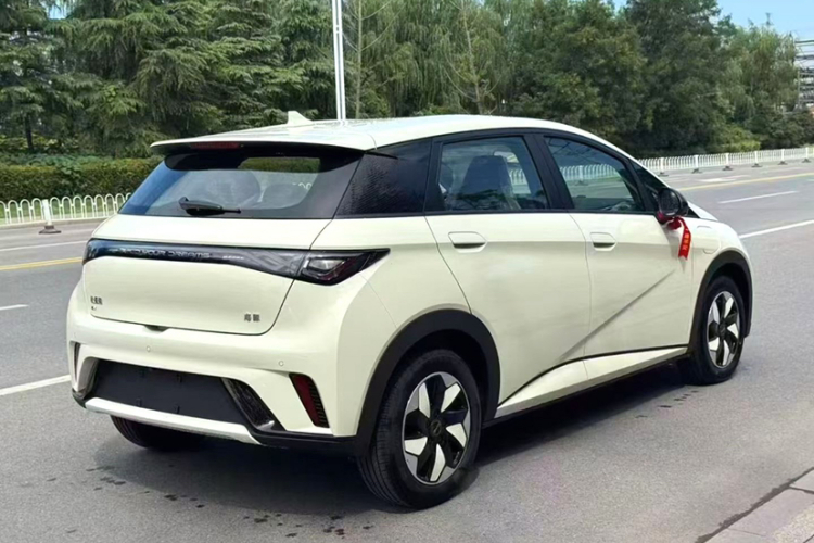 比亚迪 海豚 2025款 智驾版 420km 自由版车身外观6003