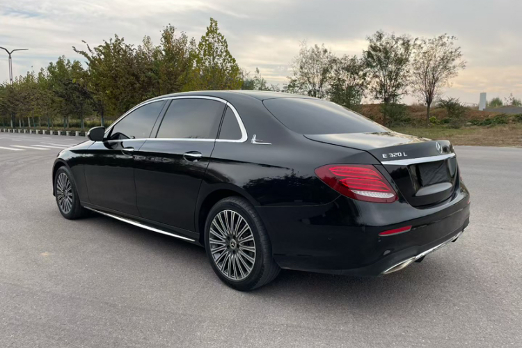 奔驰E级 2019款 E 200 L 运动型车身外观6005