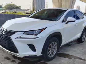 雷克萨斯NX 2020款 200 前驱 锋行版 国VI