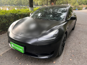 特斯拉 Model 3 2021款 标准续航后驱升级版 3D6