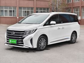 广汽传祺 传祺M8 2023款 领秀系列 390T 尊贵版