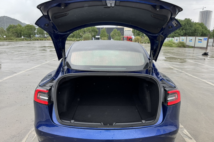 特斯拉 Model 3 2019款 标准续航后驱升级版车身外观6008
