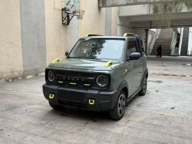 吉利银河 2024款 200km 熊猫骑士