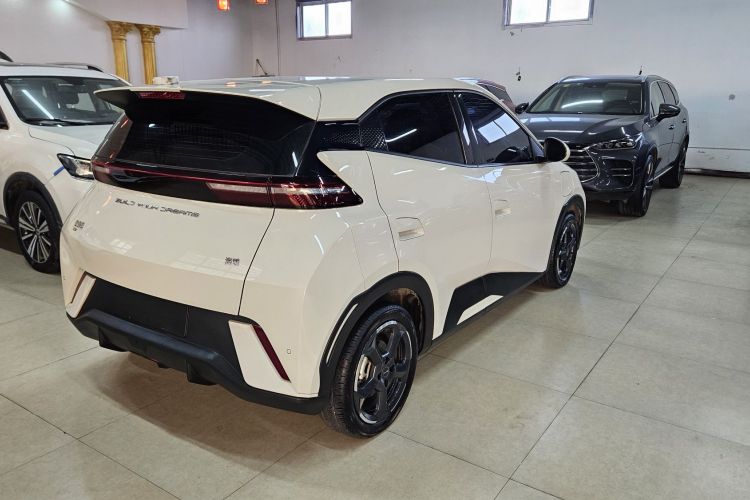 比亚迪 海鸥 2023款 飞翔版车身外观6008