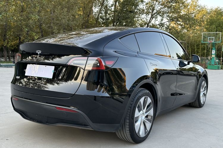 特斯拉 Model Y 2021款 标准续航后驱版车身外观6005