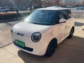 长安启源 长安Lumin 2022款 210km 香甜款