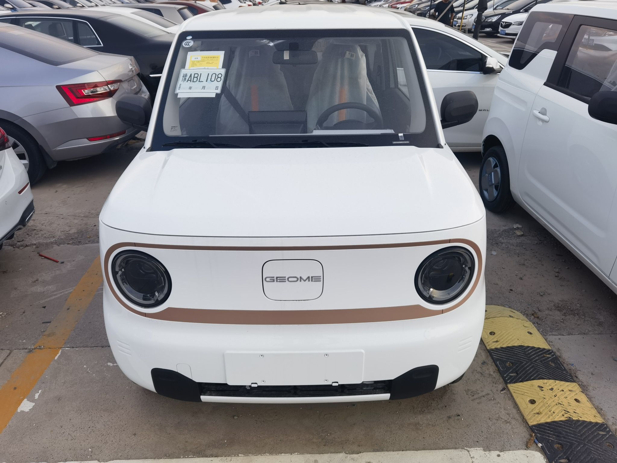 吉利汽车 2024款 熊猫mini 200km 耐力熊