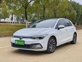 大众 高尔夫 2021款 280TSI DSG Pro