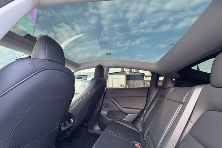 特斯拉 Model Y 2021款 标准续航后驱版局部细节22