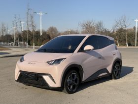 比亚迪 海鸥 2023款 自由版