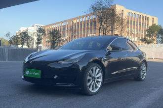 特斯拉 Model 3 2019款 标准续航后驱升级版